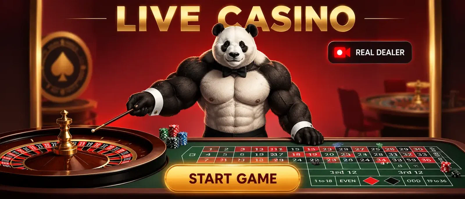 Bruno Live Casino